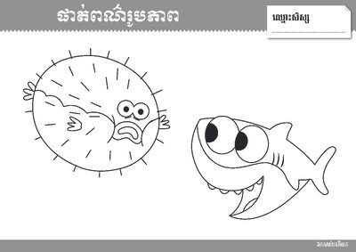 Document Cover